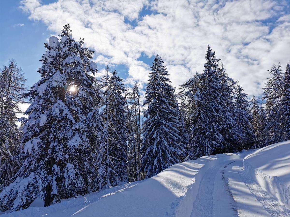 Ferienhaeuser Troester Bad Kleinkirchheim Ngoại thất bức ảnh