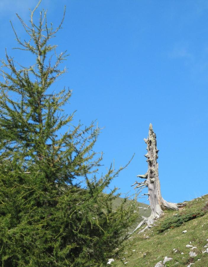 Ferienhaeuser Troester Bad Kleinkirchheim Ngoại thất bức ảnh