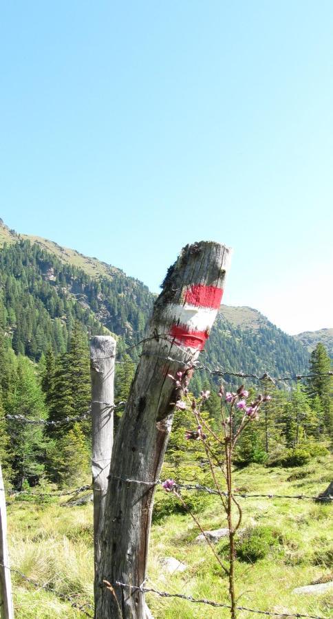Ferienhaeuser Troester Bad Kleinkirchheim Ngoại thất bức ảnh
