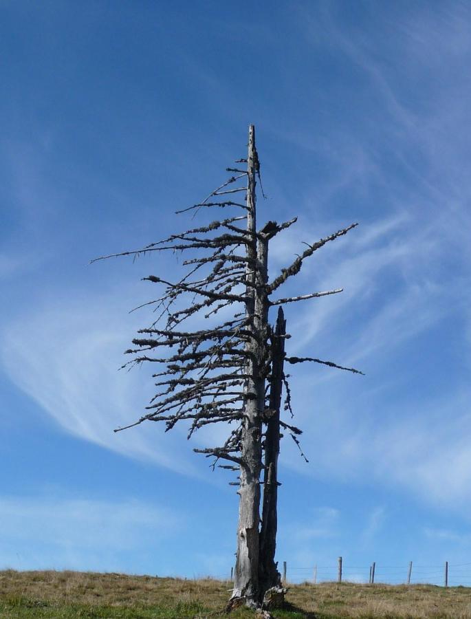 Ferienhaeuser Troester Bad Kleinkirchheim Ngoại thất bức ảnh